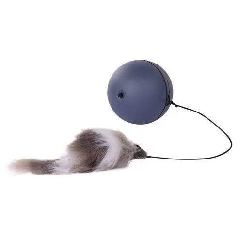 Funny Mouse Ball Pet Toy