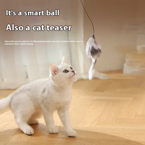 Funny Mouse Ball Pet Toy