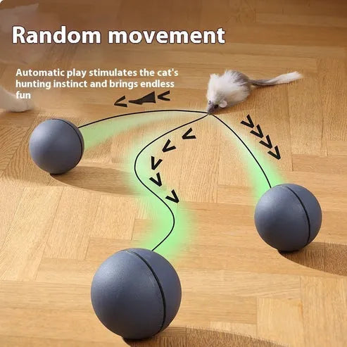 Funny Mouse Ball Pet Toy