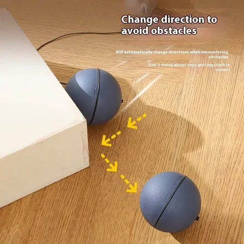 Funny Mouse Ball Pet Toy