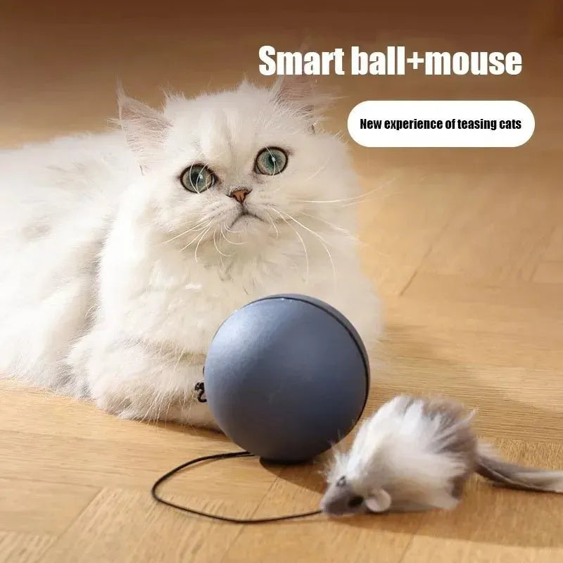 Funny Mouse Ball Pet Toy