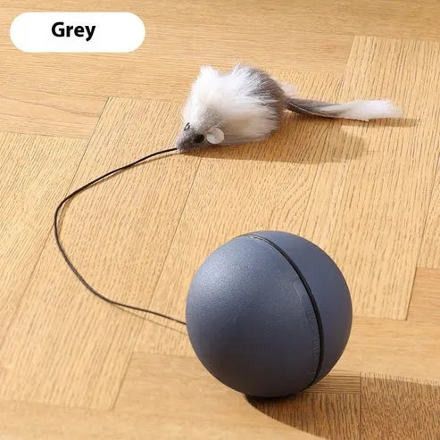 Funny Mouse Ball Pet Toy