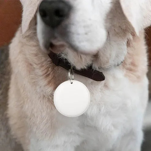 Mini GPS Tracker for Pets & Kids