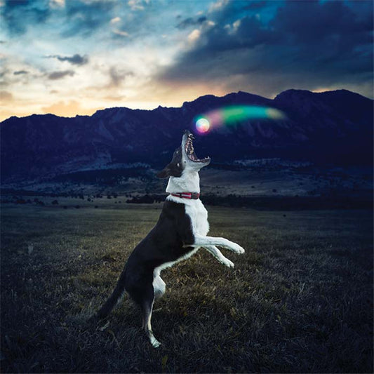 LED Glowing Pet Dog Biting Ball