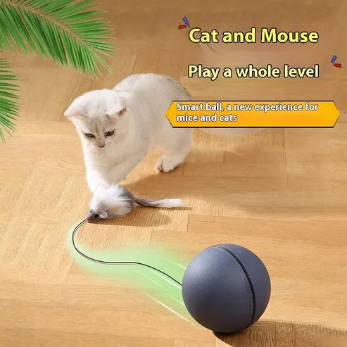 Funny Mouse Ball Pet Toy