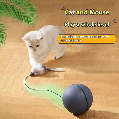 Funny Mouse Ball Pet Toy