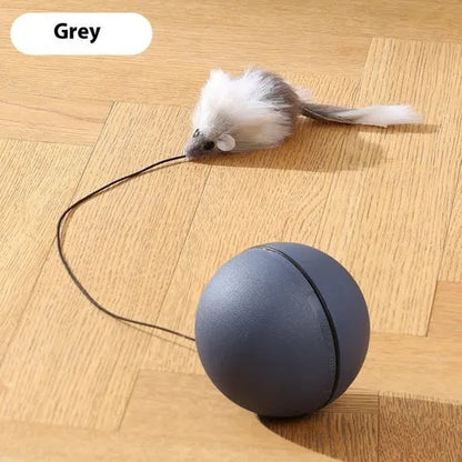 Funny Mouse Ball Pet Toy