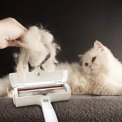 Lint Brush for Pets & Furniture